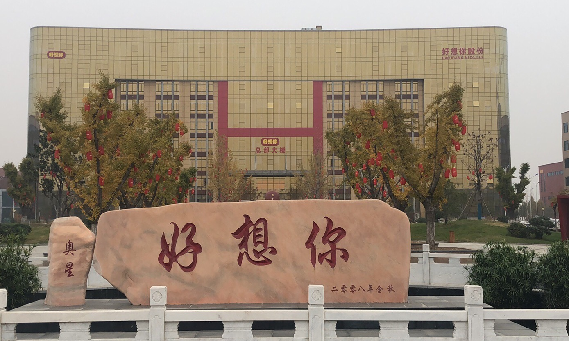 好想你股份有限公司